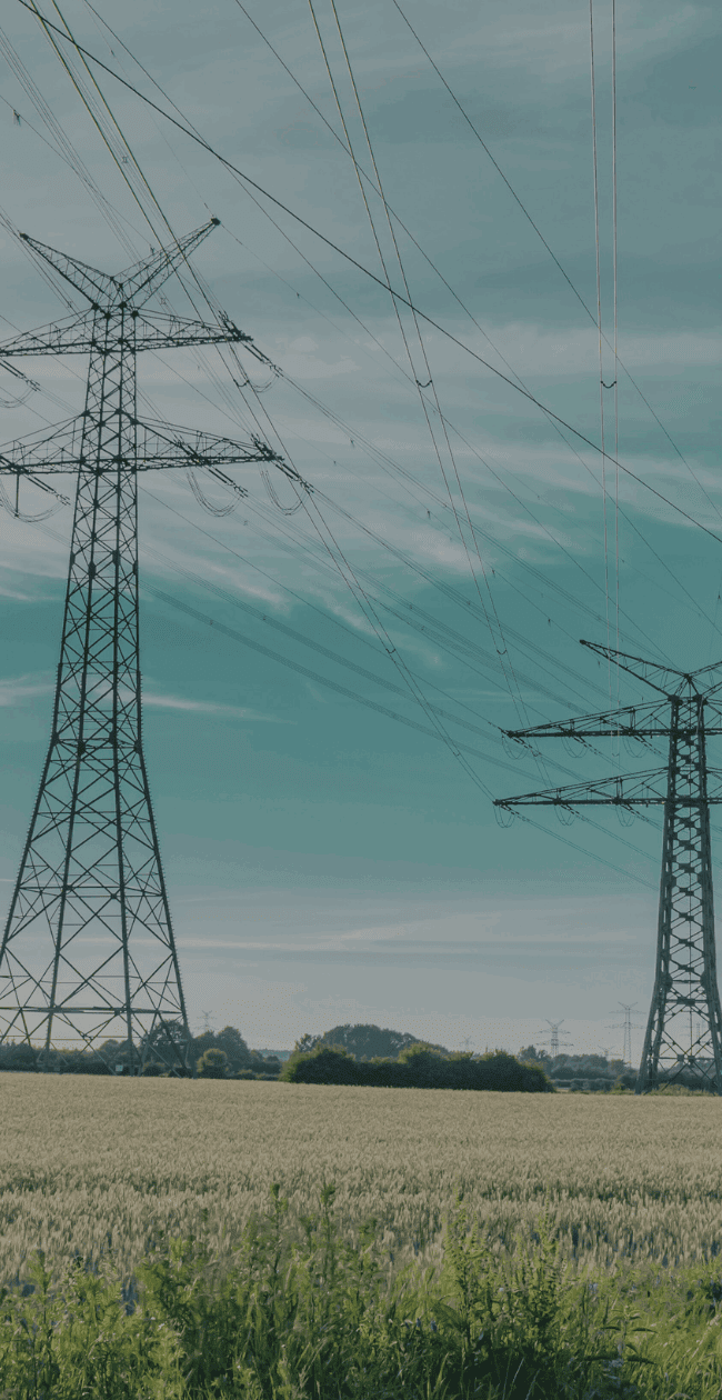 High-voltage electricity pylons stretching across a rural landscape, representing the essential role of grid infrastructure in supporting the energy transition.