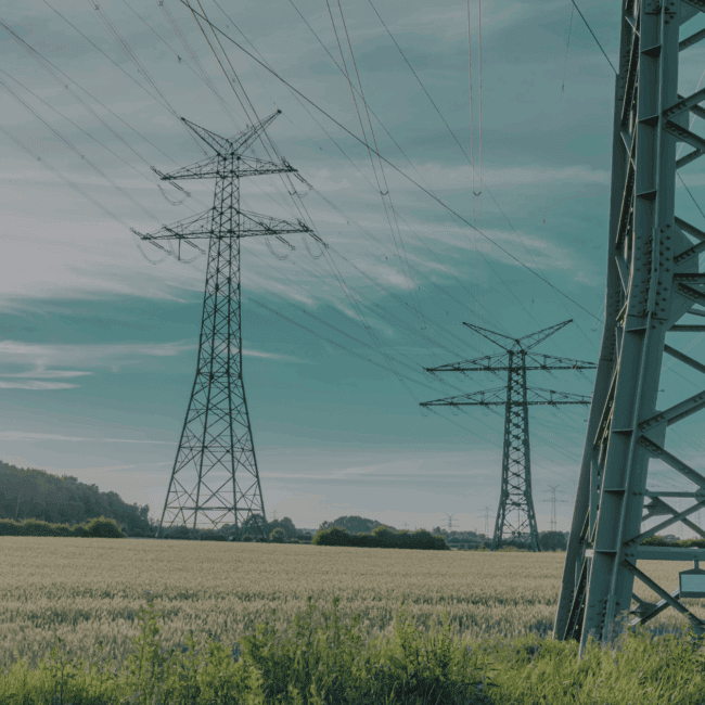 High-voltage electricity pylons stretching across a rural landscape, representing the essential role of grid infrastructure in supporting the energy transition.