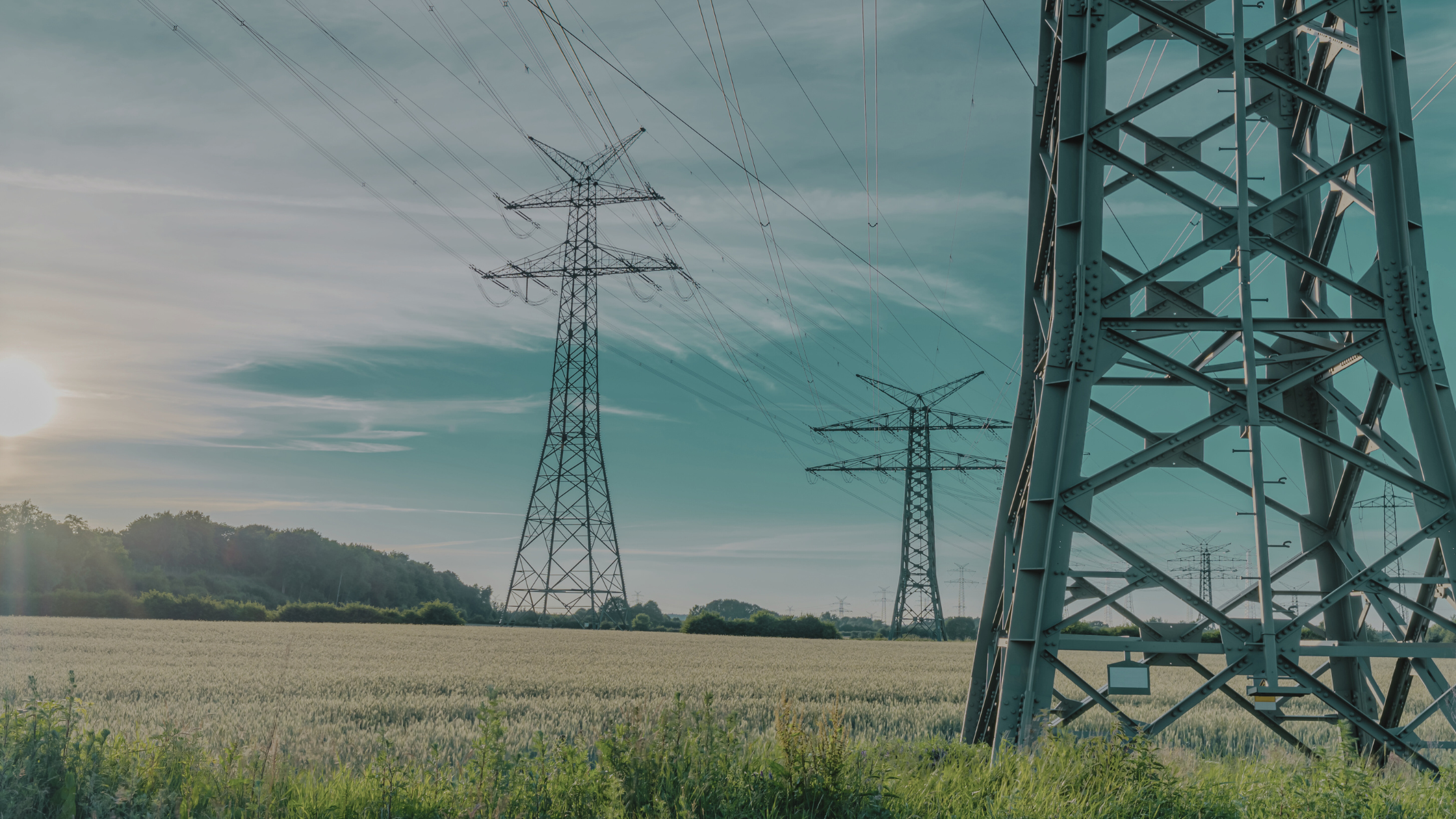 High-voltage electricity pylons stretching across a rural landscape, representing the essential role of grid infrastructure in supporting the energy transition.