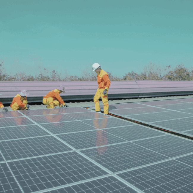 Workers installing solar panels on a large utility-scale project site, symbolising the rapid growth of U.S. solar capacity and demand for renewable energy talent in 2025.