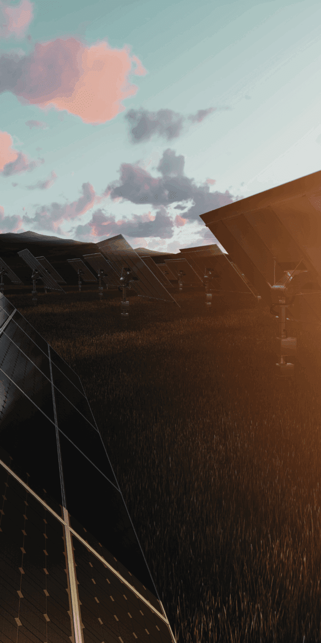 Solar panels at sunset representing renewable energy growth in the US