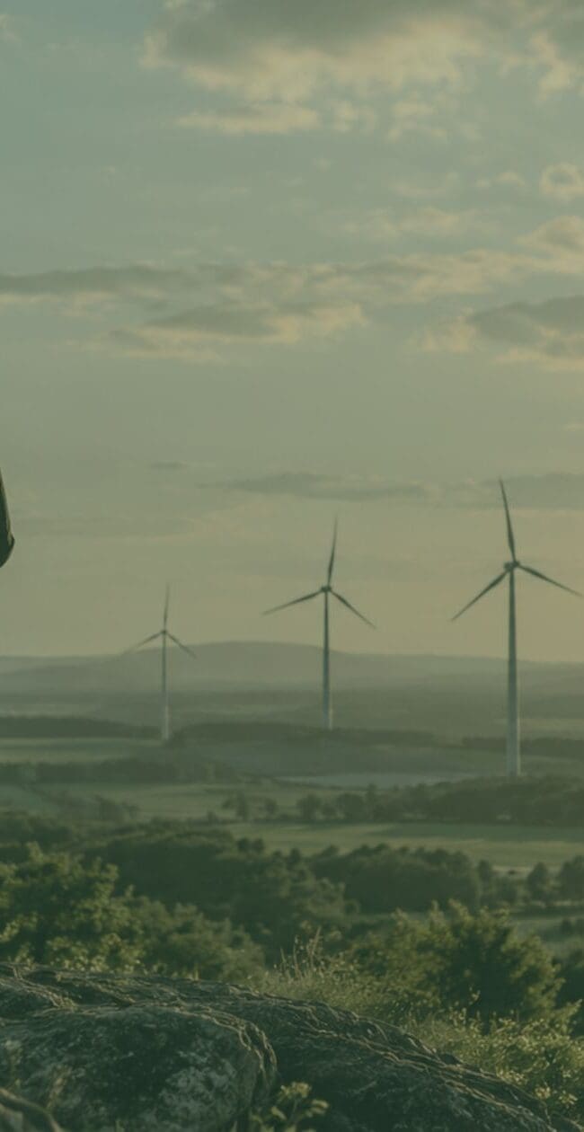 Renewable energy professionals overlooking wind and solar projects during the early stages of project development.