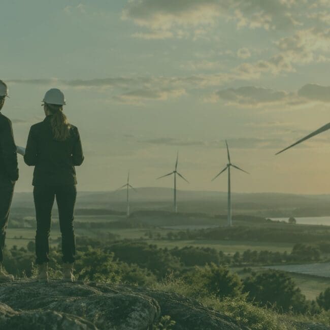 Renewable energy professionals overlooking wind and solar projects during the early stages of project development.