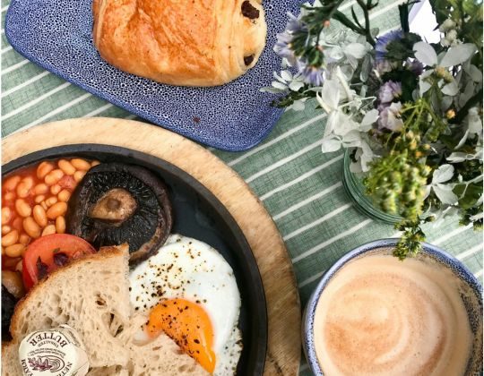 Navitas Christmas Email (540 x 420 px)